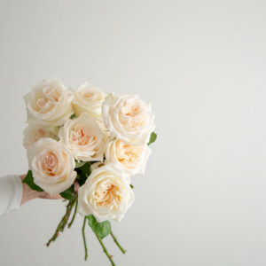White O’Hara Roses