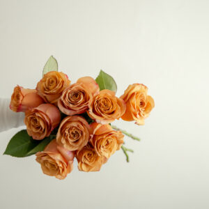 Pimm’s Roses 