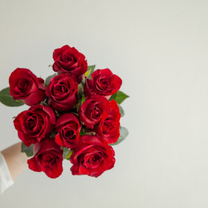 Red Panther Roses