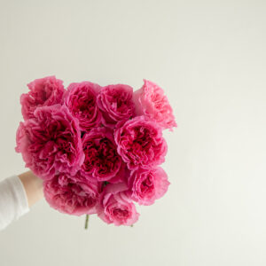 Petrova Roses