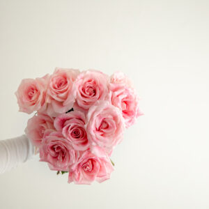 Fizzy Roses
