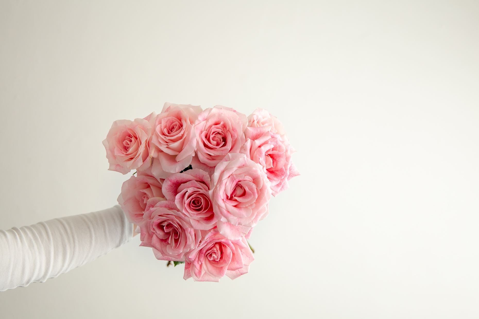 Fizzy Roses