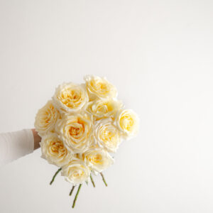 Candle Light Roses